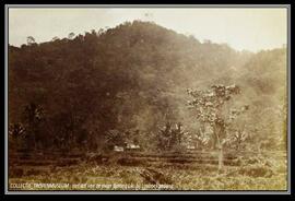 lembah_di_batang_liki_loeboekgadang.jpg